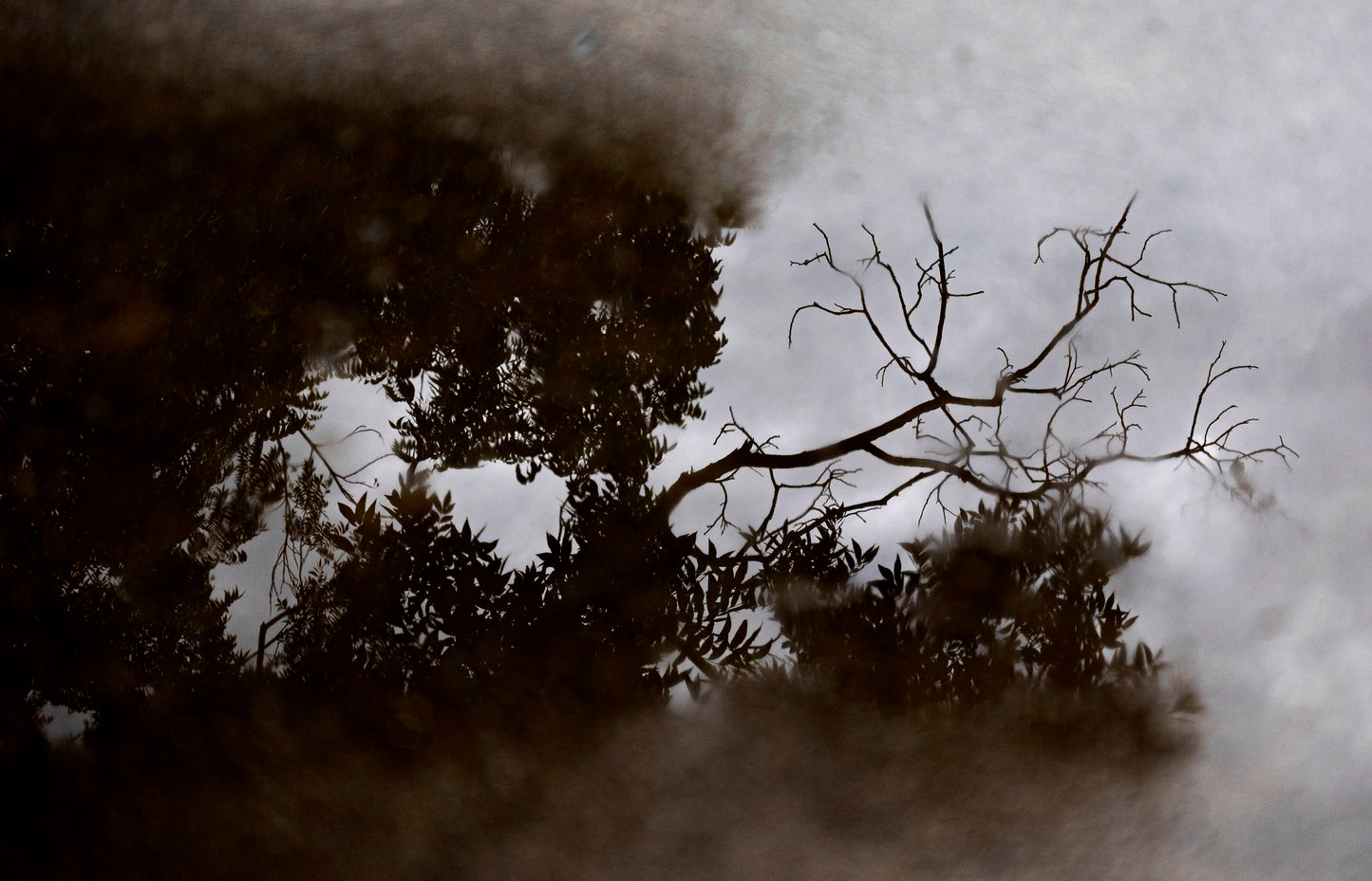 After The Rain 30x20