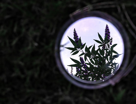 Reflection 30x20